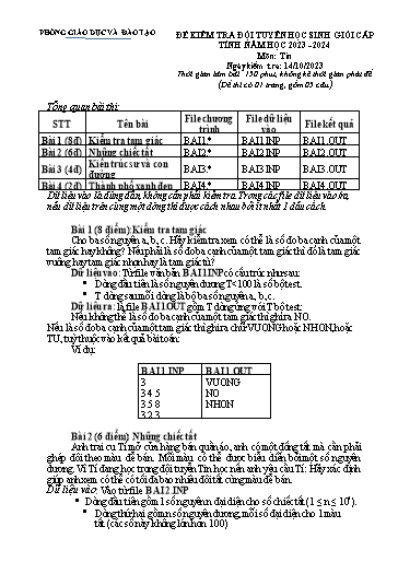 Đề kiểm tra đội tuyển học sinh giỏi cấp tỉnh môn Tin học Lớp 8 - Năm học 2023-2024