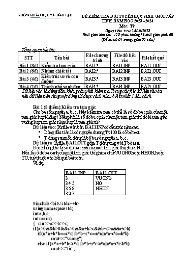 Đề kiểm tra đội tuyển học sinh giỏi cấp tỉnh Tin học Lớp 8 - Năm học 2023-2024